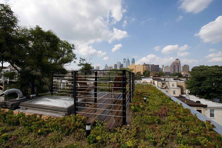 Green roof & deck