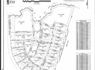 Near 158 Old Wilmington Road, Whiteville, NC 28472