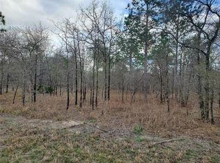 12440 SE 53rd Ln, Morriston, FL 32668