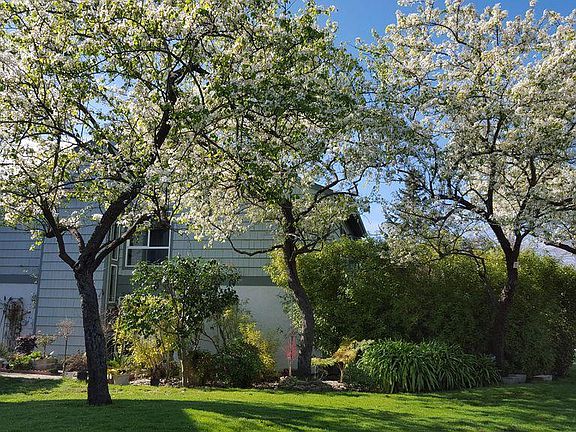 View of the side of the house