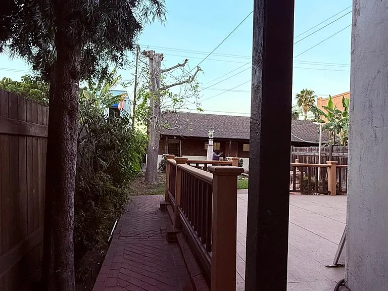 side backyard