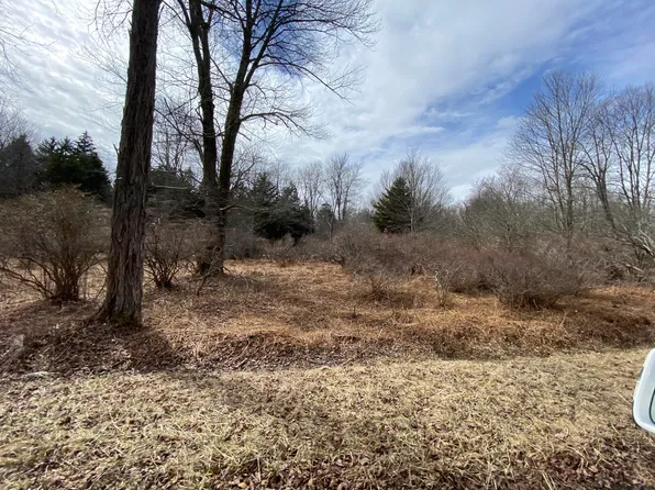 911 Wadi Rd W, Pocono Lake, PA 18347