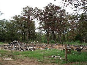 3rd image of 161 Brooks Ln