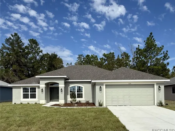 729 W Hallam Dr, Citrus Springs, FL 34434