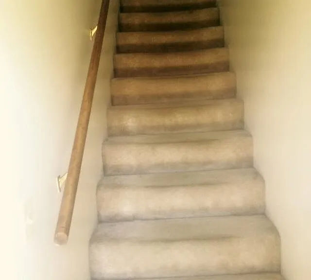 1800 Old West Main St #202 — Photo 4