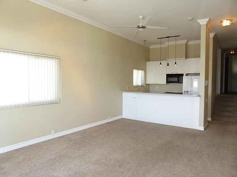 2442 Union St #1N — Photo 25