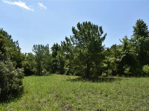 NW 75th St, Alachua, FL 32615