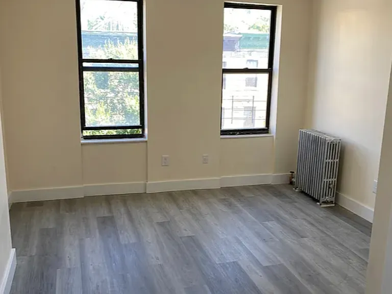 234 Schenectady Ave #3 — Photo 6
