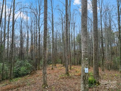 80 Mountain Ridge Ln, Fletcher, NC, 28732