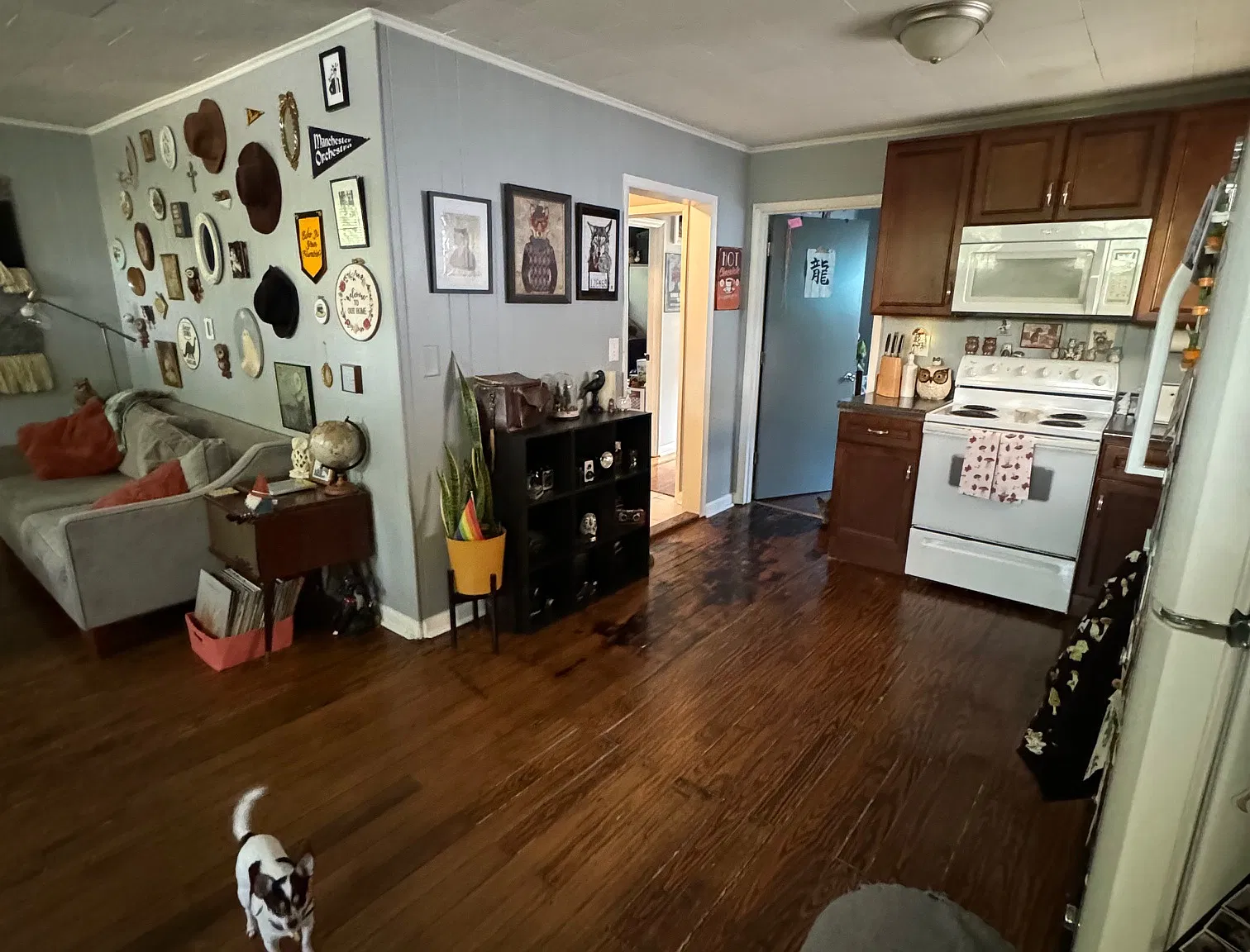 2 bed, 1000 sqft, $1,550 — Photo 2