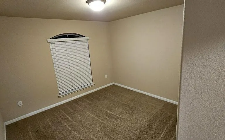 605 Carly Ann Ln — Photo 10