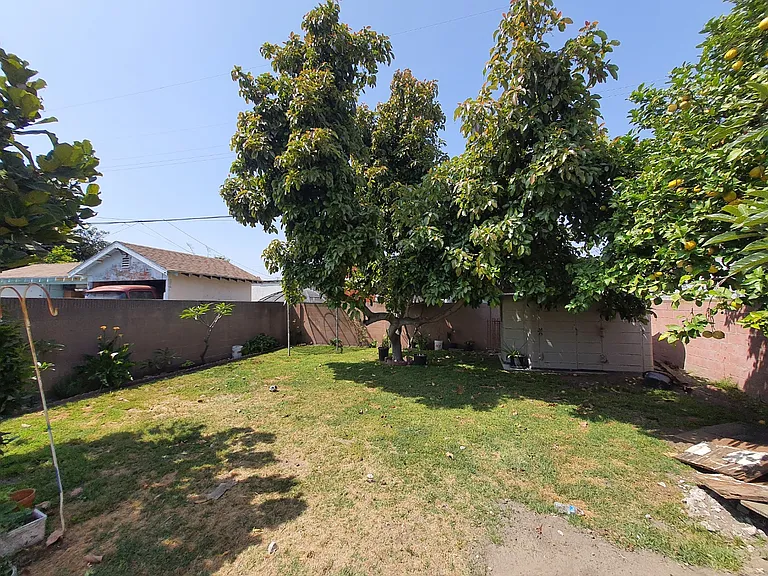 Back yard