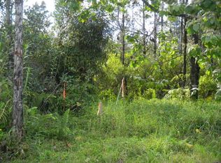 Road 8 Moho LOT 4298, Mountain View, HI 96771