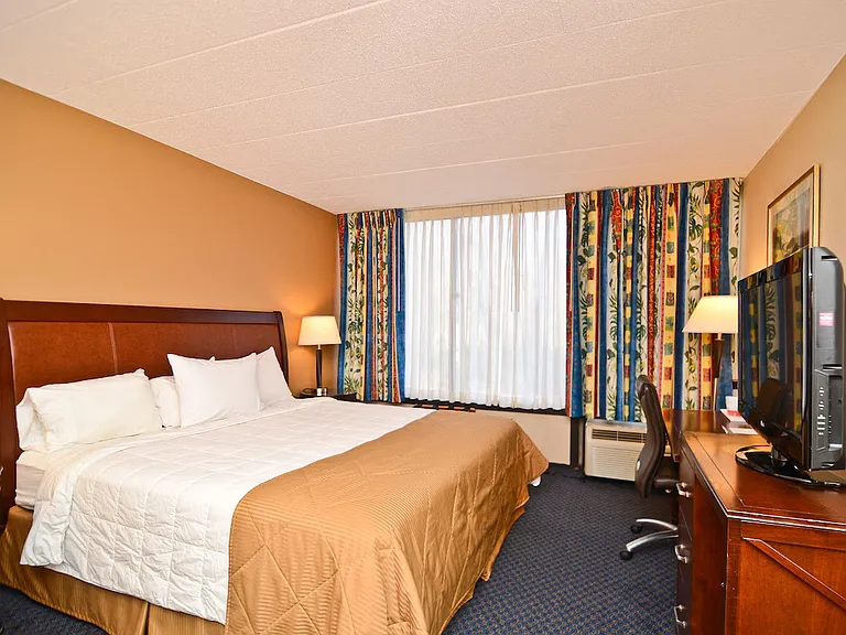 King Room