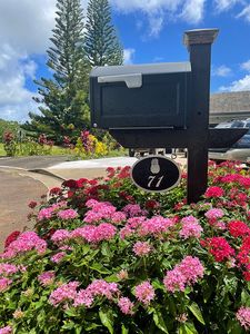 71 No Ka Oi Pl, Kapaa, HI, 96746