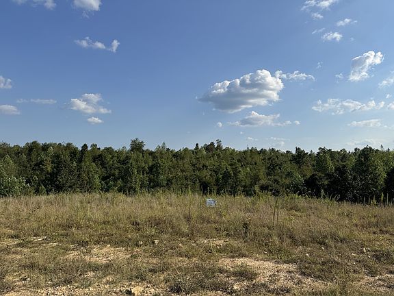 2nd image of 169 Twin Pines Rd Lot 2
