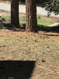 0 Spruce Dr #91, Running Springs, CA, 92382