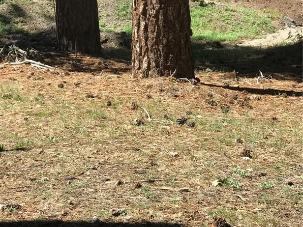 0 Spruce Dr #91, Running Springs, CA 92382