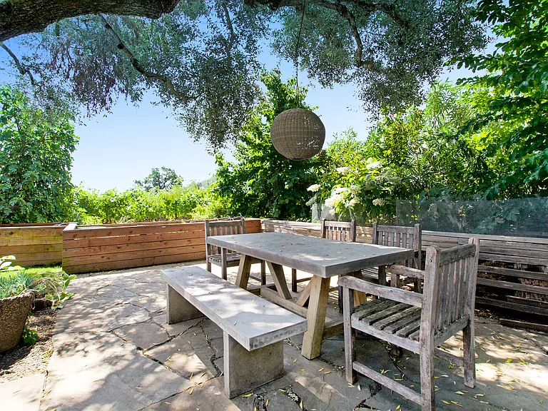 Dine under the 1oo year olive tree