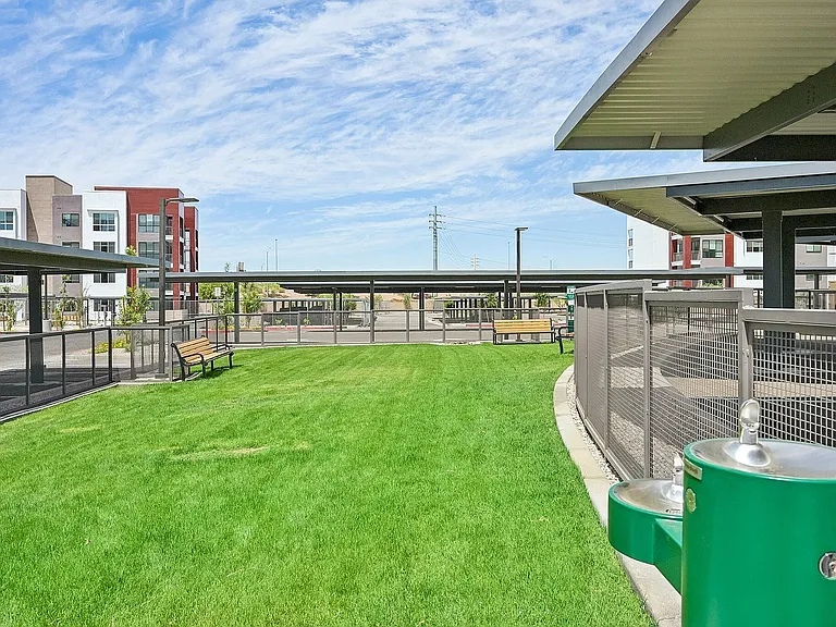Dog Park