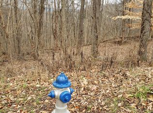 0 Dugger Rd, Elizabethton, TN 37643