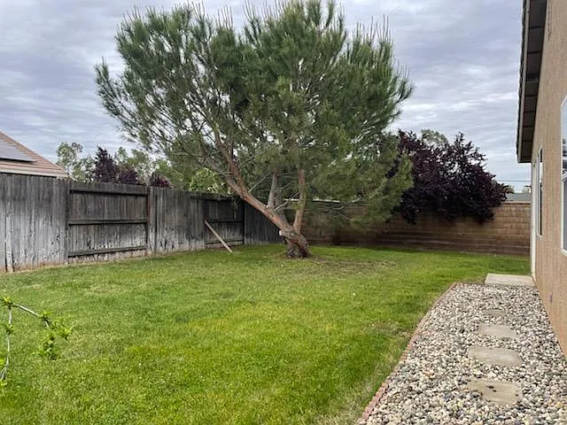 Backyard #2