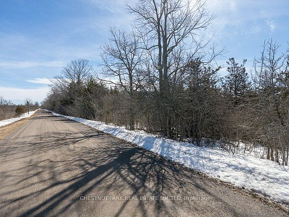 2nd image of 206 Simpson Rd