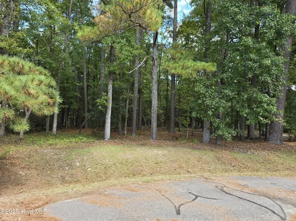 Lot 14 NW Pony Circle, Pikeville, NC 27863