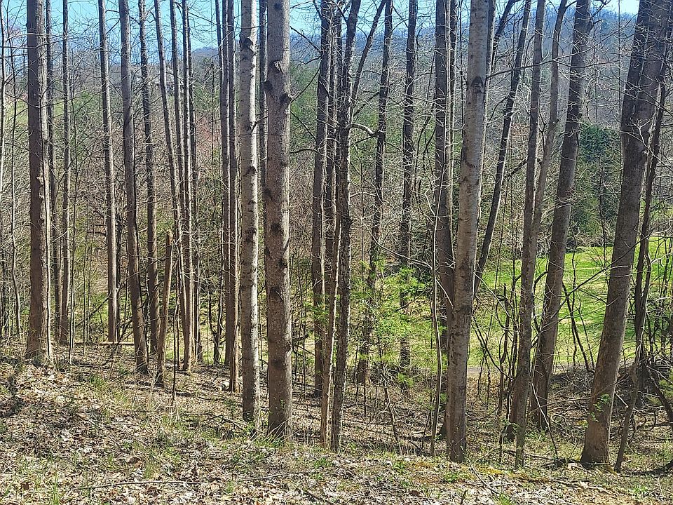 2nd image of 181 Ox Bow Rd