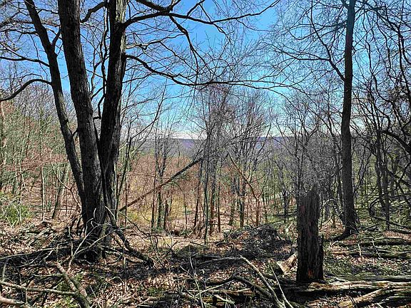 2nd image of Mountain Lake Rd