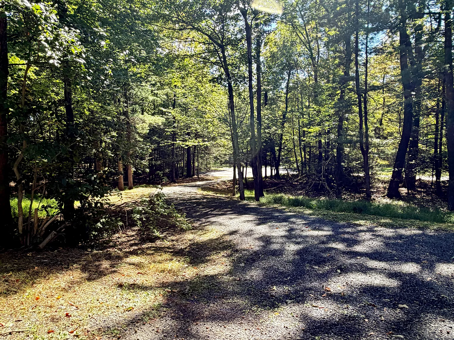 4 bed, 2300 sqft, $2,395 — Photo 3