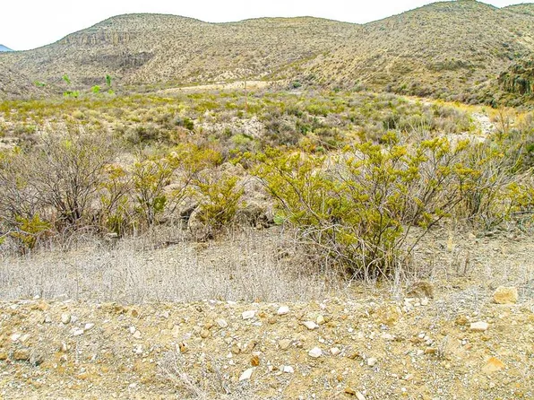 65 Red Draw Rd, Terlingua, TX 79852