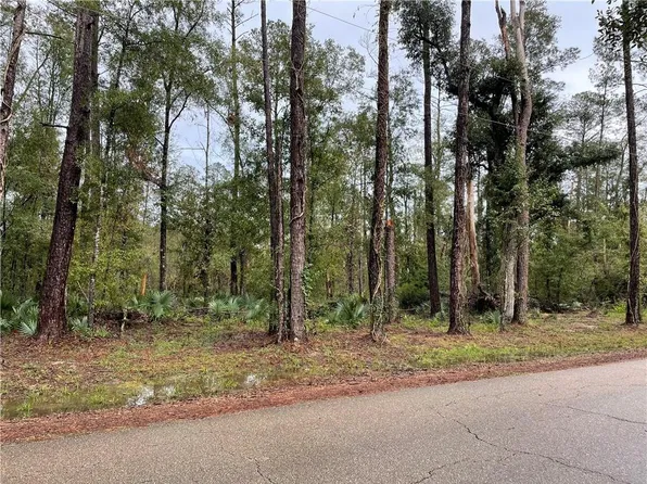 0 Blood River Rd, Springfield, LA 70462
