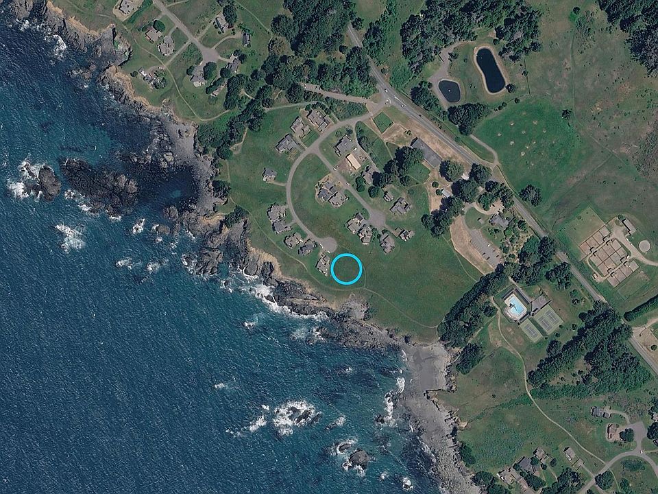 1st image of 91 Wild Iris