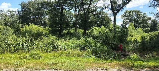 1st image of 17895 Camellia Dr