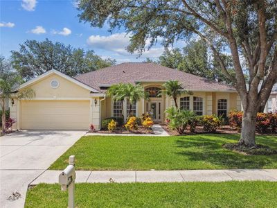 10203 Shadow Branch Dr, Tampa, FL, 33647