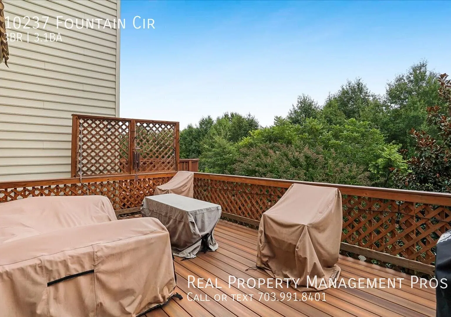 Backs to Trees-Qualify for a zero deposit? — Photo 3