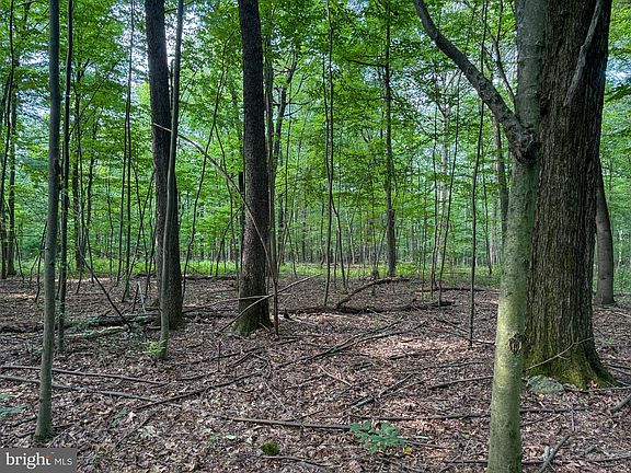 5th image of 0 Mahanoy Valley Rd Lot 1