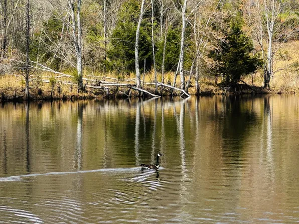 1565 Old Hwy #1, Dickson, TN 37055