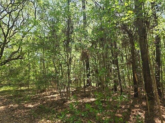 3rd image of 0 Bears Bluff Rd Lot B