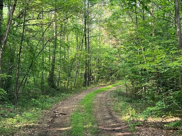0 Old Union Church Rd, Holladay, TN 38341