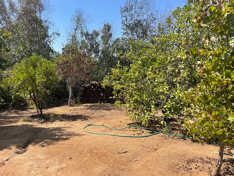 533 Mar Vista Dr — Photo 12