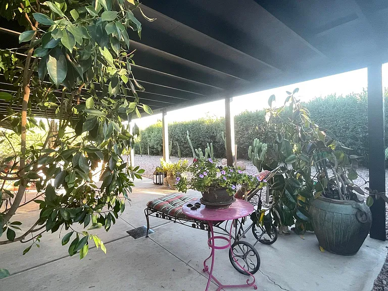 Back Patio.
