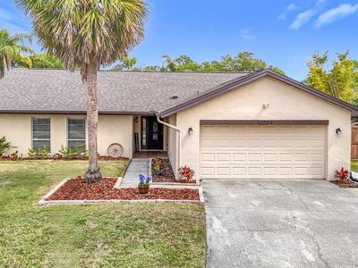 10304 Out Island Dr, Tampa, FL, 33615