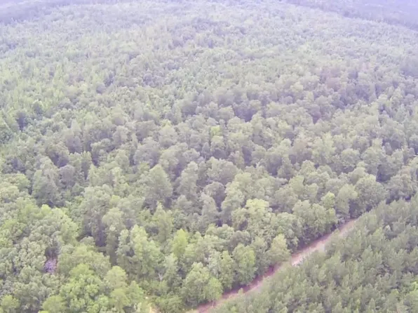 0A Bud Long Rd, Selmer, TN 38375