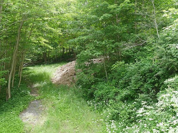 5th image of 1232 River Rd #1234