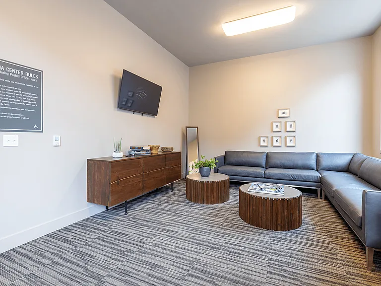 Media Center-TV and Couch