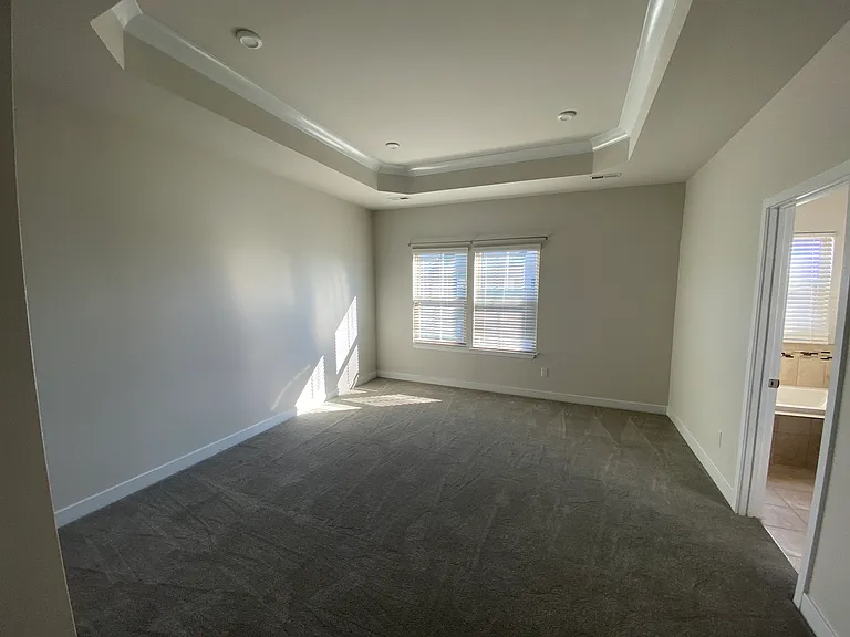 3rd floor master bedroom with trey ceiling