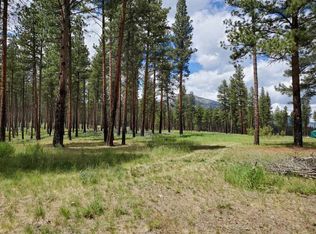 1161 Janes Way, Hamilton, MT 59840