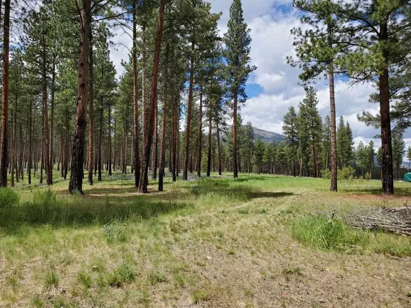 1161 Janes Way, Hamilton, MT 59840